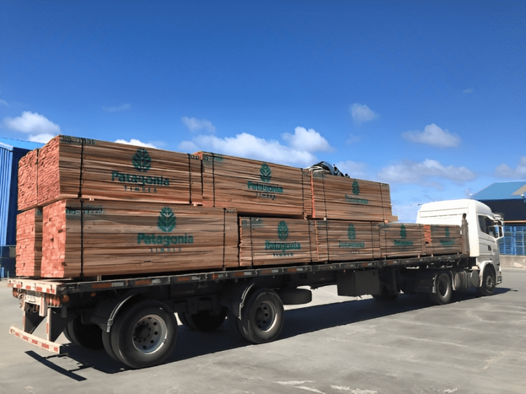 Lenga Wood - Timber Distribution